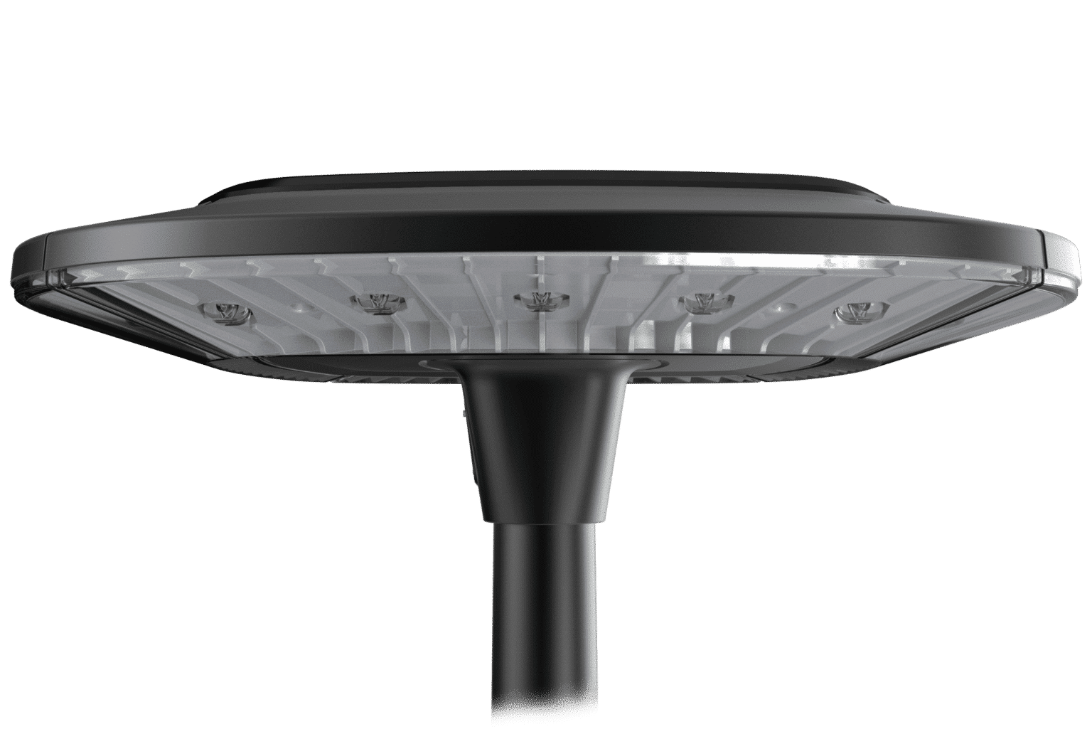 Sustainder Anne - Side dcassette in